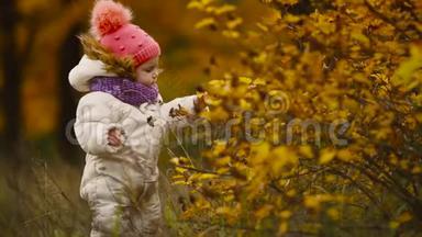 穿着秋装的小女孩戴着暖和的帽子和围巾站在公园里看着黄叶从